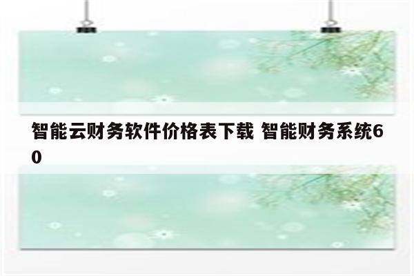 智能云财务软件价格表下载 智能财务系统60