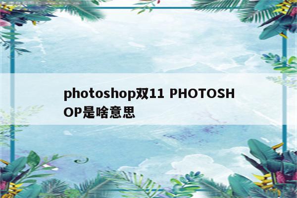 photoshop双11 PHOTOSHOP是啥意思
