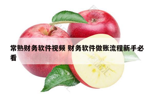 常熟财务软件视频 财务软件做账流程新手必看