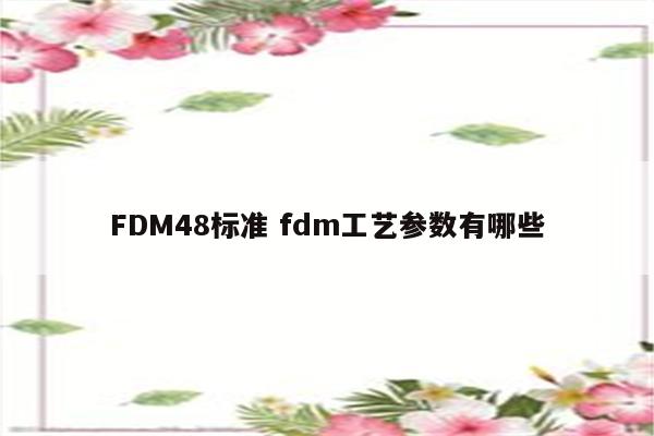 FDM48标准 fdm工艺参数有哪些