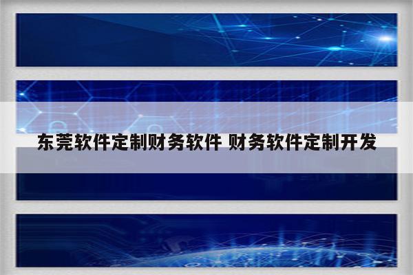 东莞软件定制财务软件 财务软件定制开发