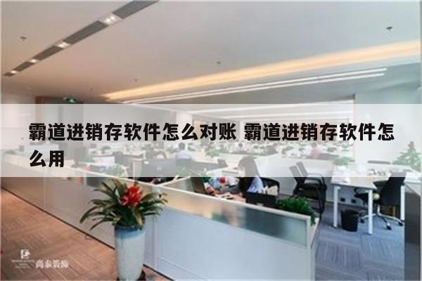 霸道进销存软件怎么对账 霸道进销存软件怎么用