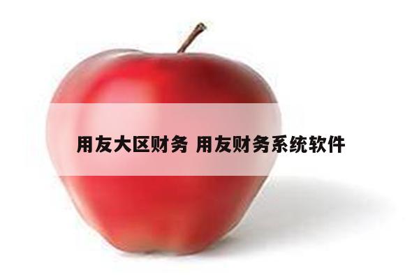 用友大区财务 用友财务系统软件