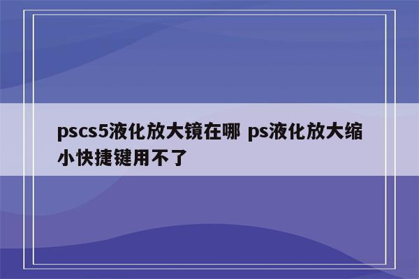 pscs5液化放大镜在哪 ps液化放大缩小快捷键用不了