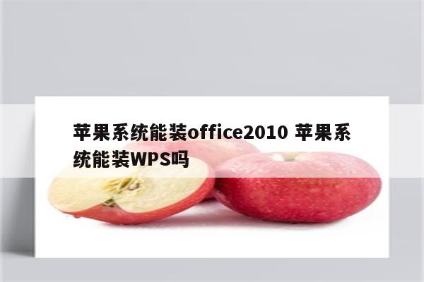 苹果系统能装office2010 苹果系统能装WPS吗