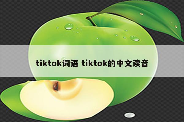 tiktok词语 tiktok的中文读音