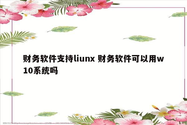财务软件支持liunx 财务软件可以用w10系统吗