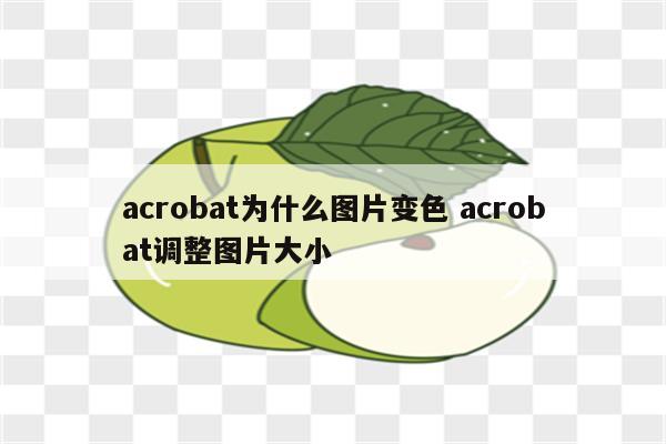 acrobat为什么图片变色 acrobat调整图片大小