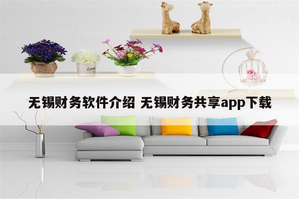 无锡财务软件介绍 无锡财务共享app下载
