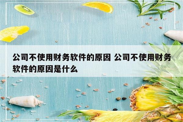 公司不使用财务软件的原因 公司不使用财务软件的原因是什么