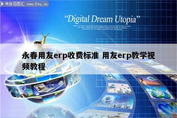 永春用友erp收费标准 用友erp教学视频教程