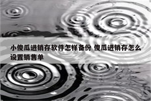 小傻瓜进销存软件怎样备份 傻瓜进销存怎么设置销售单