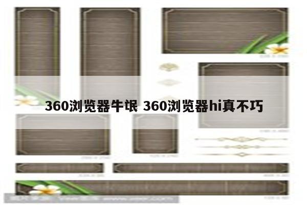 360浏览器牛氓 360浏览器hi真不巧
