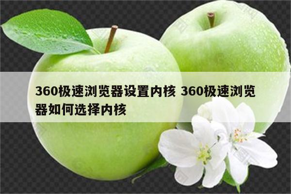 360极速浏览器设置内核 360极速浏览器如何选择内核