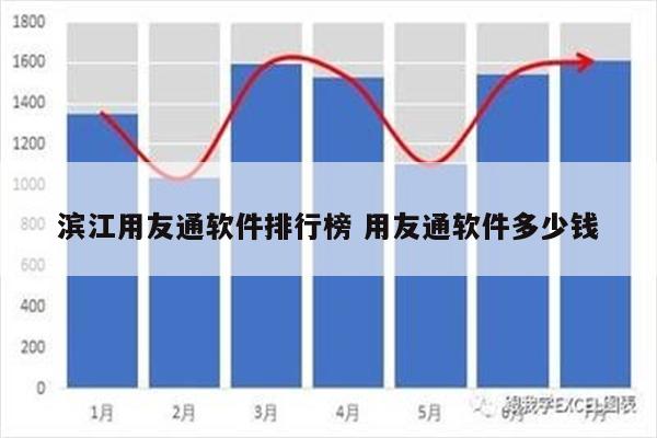 滨江用友通软件排行榜 用友通软件多少钱