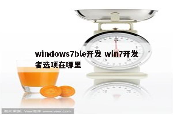 windows7ble开发 win7开发者选项在哪里