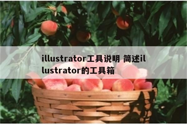 illustrator工具说明 简述illustrator的工具箱