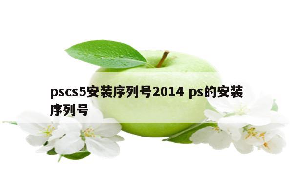 pscs5安装序列号2014 ps的安装序列号