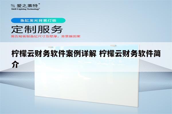 柠檬云财务软件案例详解 柠檬云财务软件简介