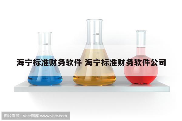海宁标准财务软件 海宁标准财务软件公司
