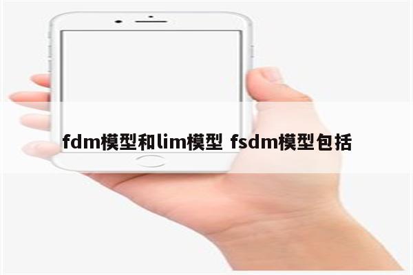 fdm模型和lim模型 fsdm模型包括