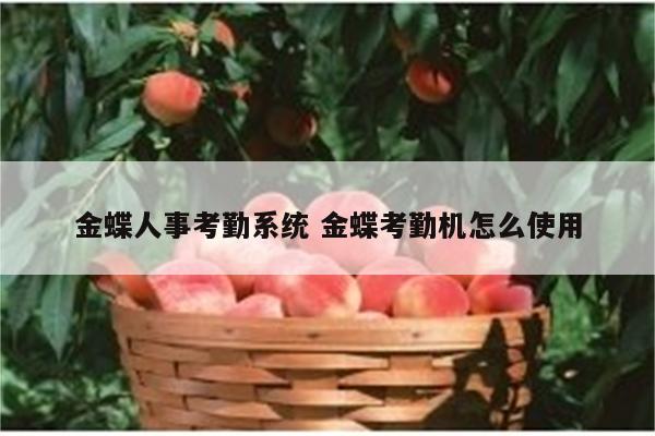 金蝶人事考勤系统 金蝶考勤机怎么使用