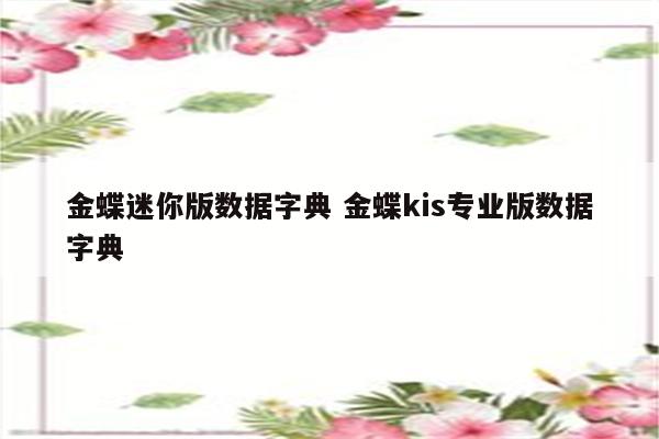 金蝶迷你版数据字典 金蝶kis专业版数据字典