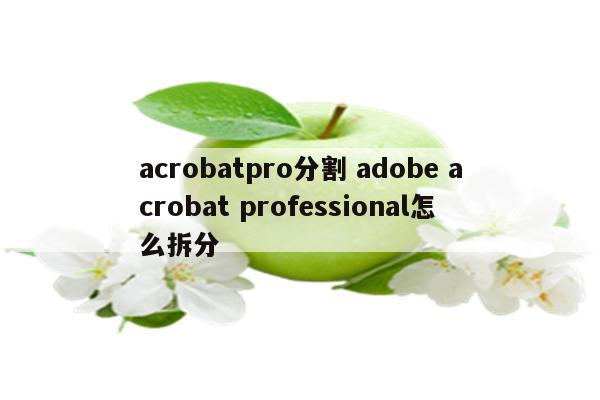 acrobatpro分割 adobe acrobat professional怎么拆分