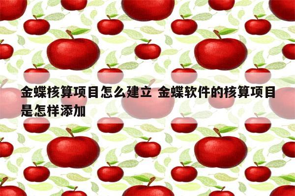 金蝶核算项目怎么建立 金蝶软件的核算项目是怎样添加