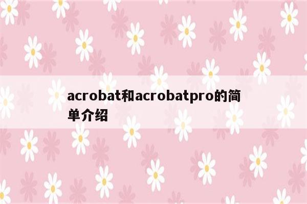 acrobat和acrobatpro的简单介绍