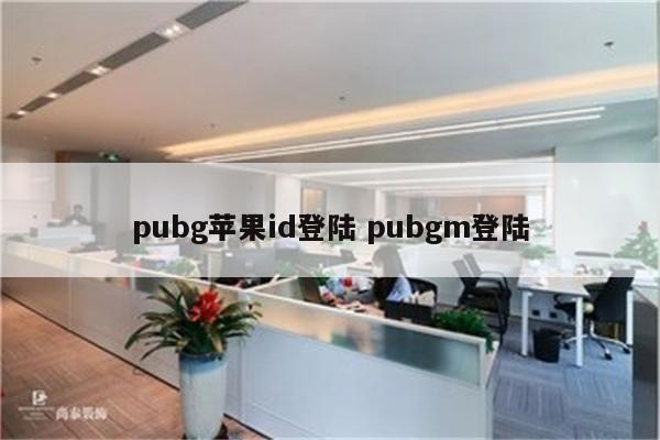 pubg苹果id登陆 pubgm登陆