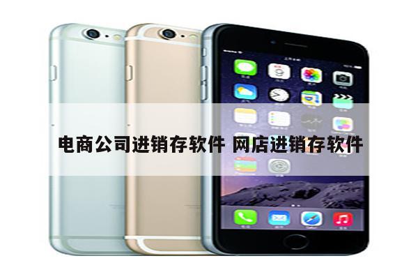 电商公司进销存软件 网店进销存软件