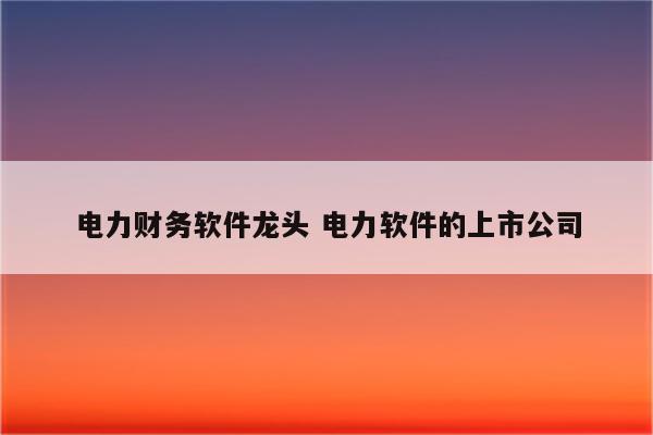 电力财务软件龙头 电力软件的上市公司