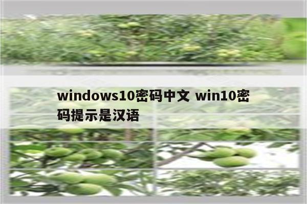 windows10密码中文 win10密码提示是汉语