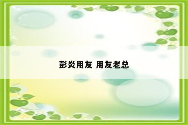 彭炎用友 用友老总