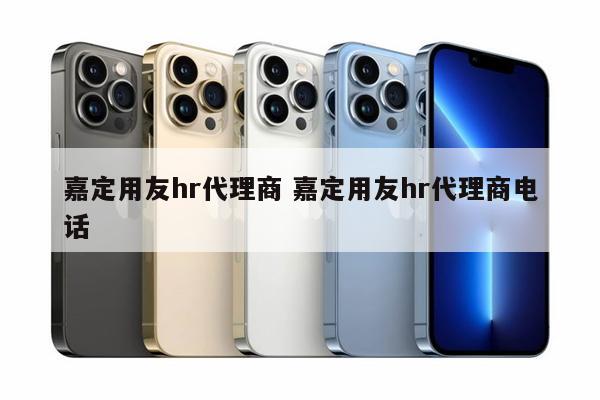 嘉定用友hr代理商 嘉定用友hr代理商电话
