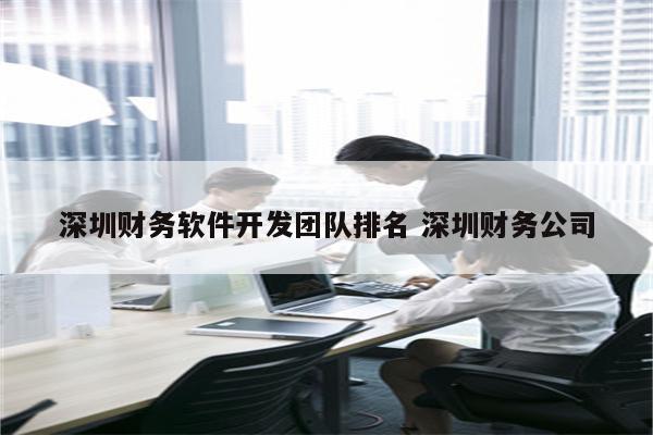 深圳财务软件开发团队排名 深圳财务公司