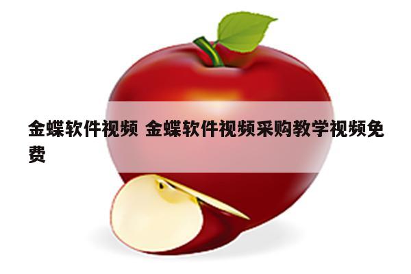 金蝶软件视频 金蝶软件视频采购教学视频免费
