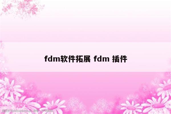 fdm软件拓展 fdm 插件