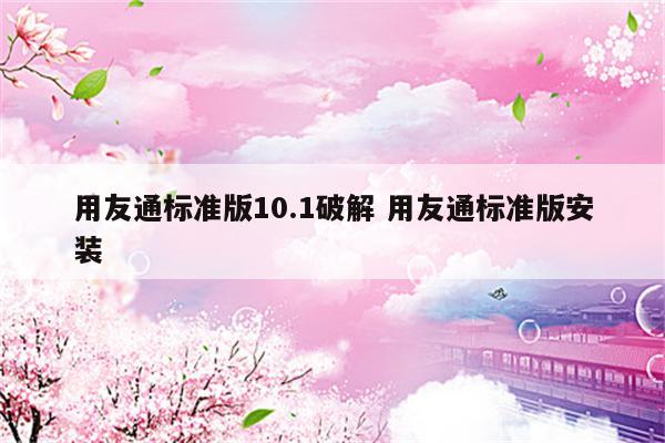 用友通标准版10.1破解 用友通标准版安装