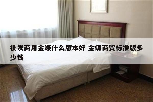 批发商用金蝶什么版本好 金蝶商贸标准版多少钱