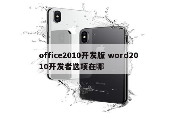 office2010开发版 word2010开发者选项在哪