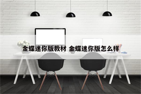 金蝶迷你版教材 金蝶迷你版怎么样