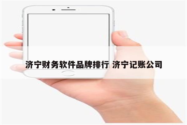 济宁财务软件品牌排行 济宁记账公司