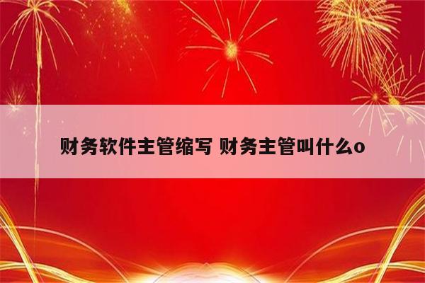 财务软件主管缩写 财务主管叫什么o