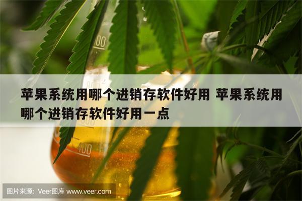 苹果系统用哪个进销存软件好用 苹果系统用哪个进销存软件好用一点