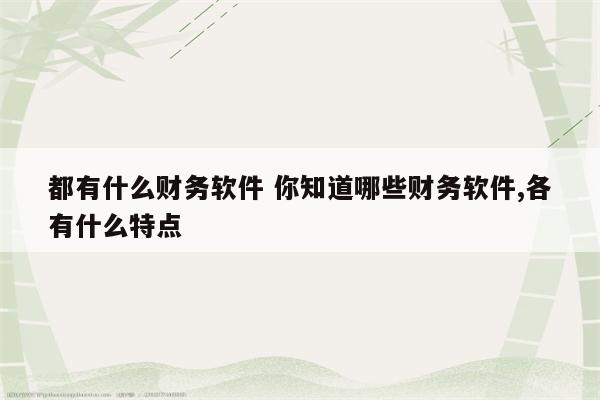 都有什么财务软件 你知道哪些财务软件,各有什么特点