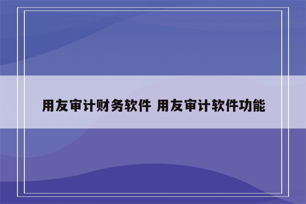 用友审计财务软件 用友审计软件功能