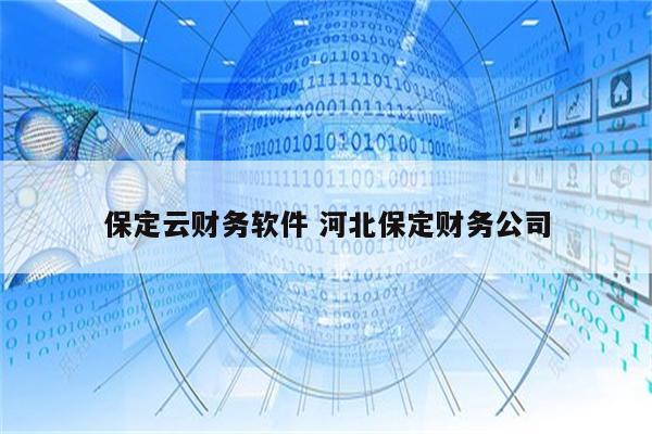 保定云财务软件 河北保定财务公司