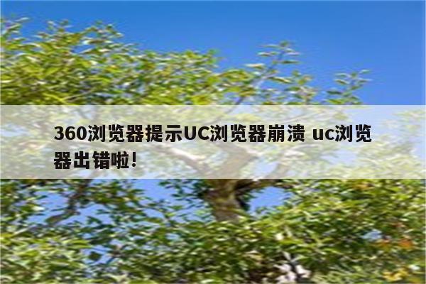 360浏览器提示UC浏览器崩溃 uc浏览器出错啦!
